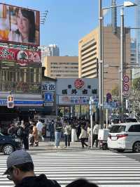Beautiful spots in Tokyo 