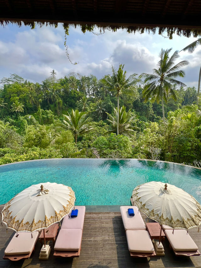 Spring in Ubud: Surrounded by Nature🌺