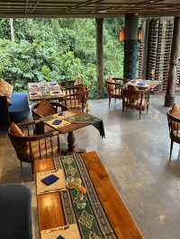 Spring in Ubud: Surrounded by Nature🌺