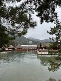嚴島神社幾時去？潮退還是潮漲？why not both?
