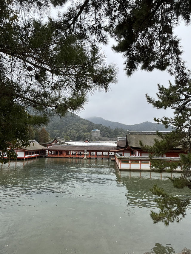 嚴島神社幾時去？潮退還是潮漲？why not both?