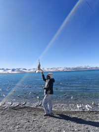 Perfect Day of Adventure and Serenity in Tibet