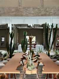 Most beautiful Arabica outlet  