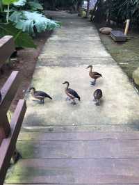Sea World Ancol, Samudra and Bird Park