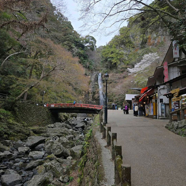 Minoo Park – "A Hidden Cherry Blossom Trail Near Osaka"