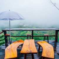 กระท่อมลุงเดวิด - Uncle David’s Cabin