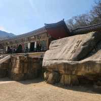 梵鱼寺樱花