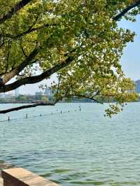 Nanhu Scenic Area: A Timeless Jiangnan Escape