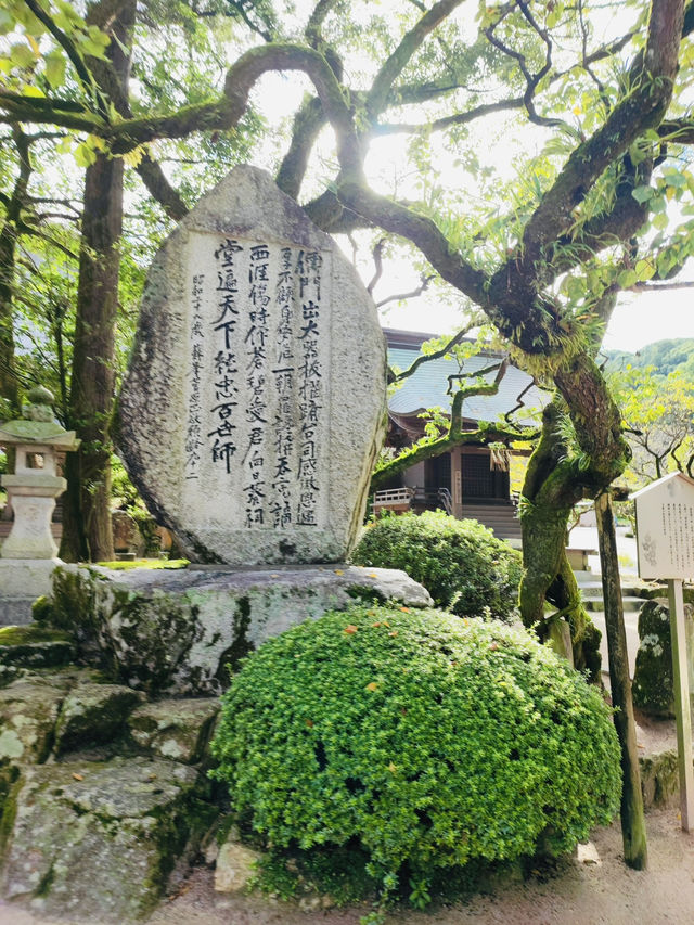 福岡｜一日遊｜太宰府歷史文化之旅 ✨🏯