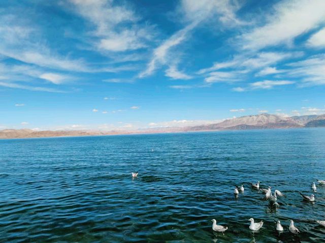 中國西藏阿里著名自然景點班公湖旅行攻略，適合打卡拍照📸