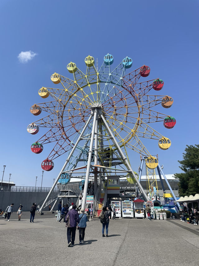 入園無料！？栃木県【とちのきファミリーランド】