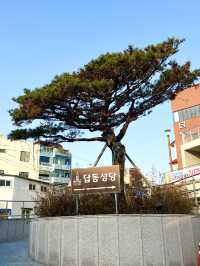 인천 가볼만한곳 -  답동성당🏛️⛪️