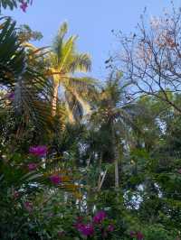 🇵🇭The Farm at San Benito in Batangas💙Such a peaceful retreat💙
