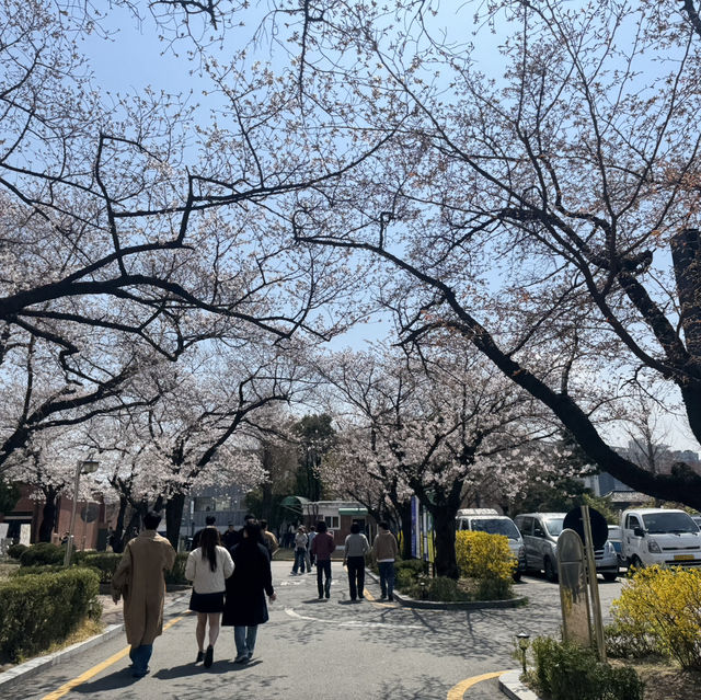 정독도서관 산책