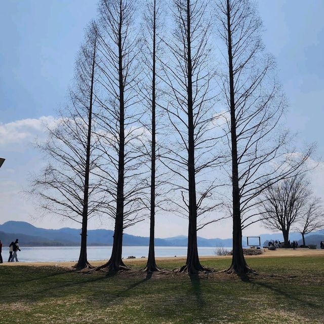 Yangpyeong Dumulmeori – Where Rivers and Blossoms Meet