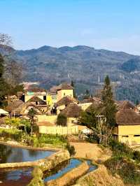 Yuanyang: Spring’s Shimmering Mosaic