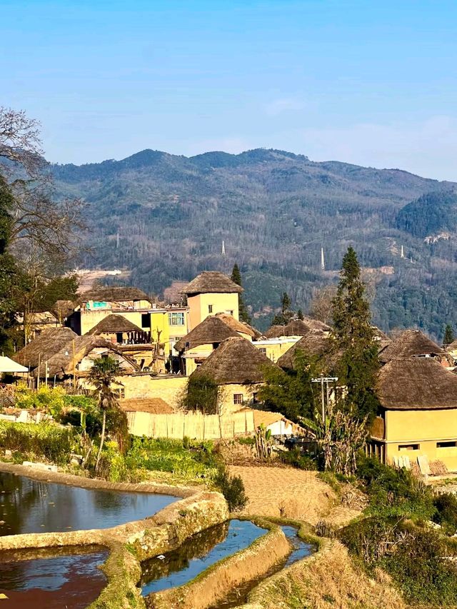 Yuanyang: Spring’s Shimmering Mosaic