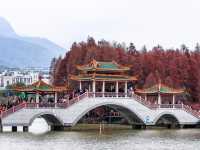 Seven Star Crags– Zhaoqing's Limestone Wonderland