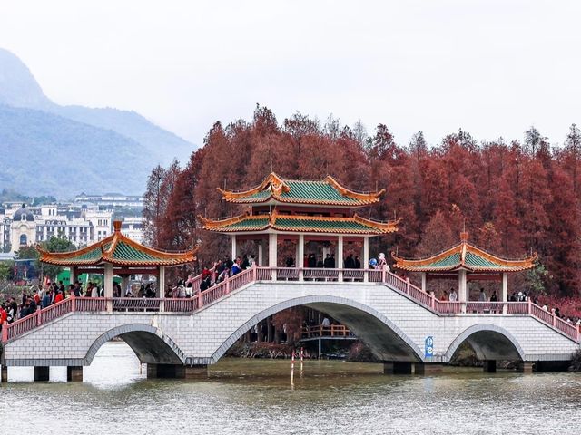 Seven Star Crags– Zhaoqing's Limestone Wonderland