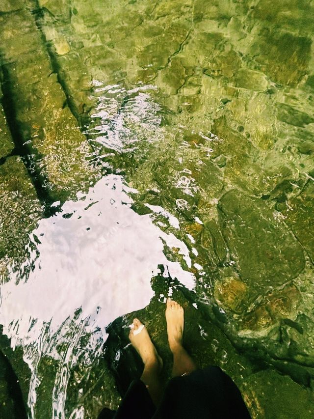 中國雲南騰衝著名景點高黎貢山自然保護區徒步旅行攻略，適合打卡拍照📸