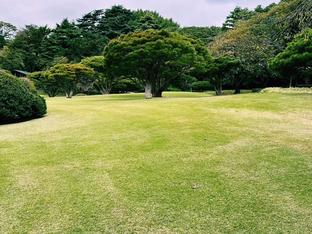日本東京著名公園景點：新宿御苑，適合打卡拍照📸