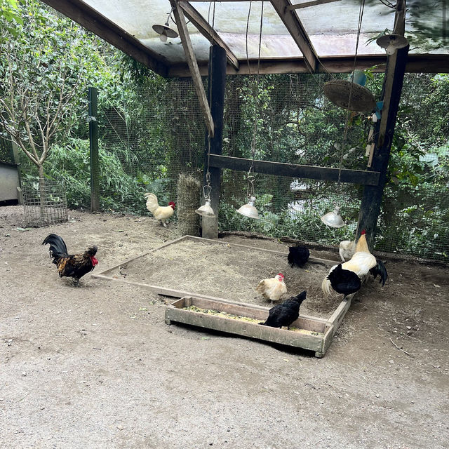 北埔綠世界生態農場