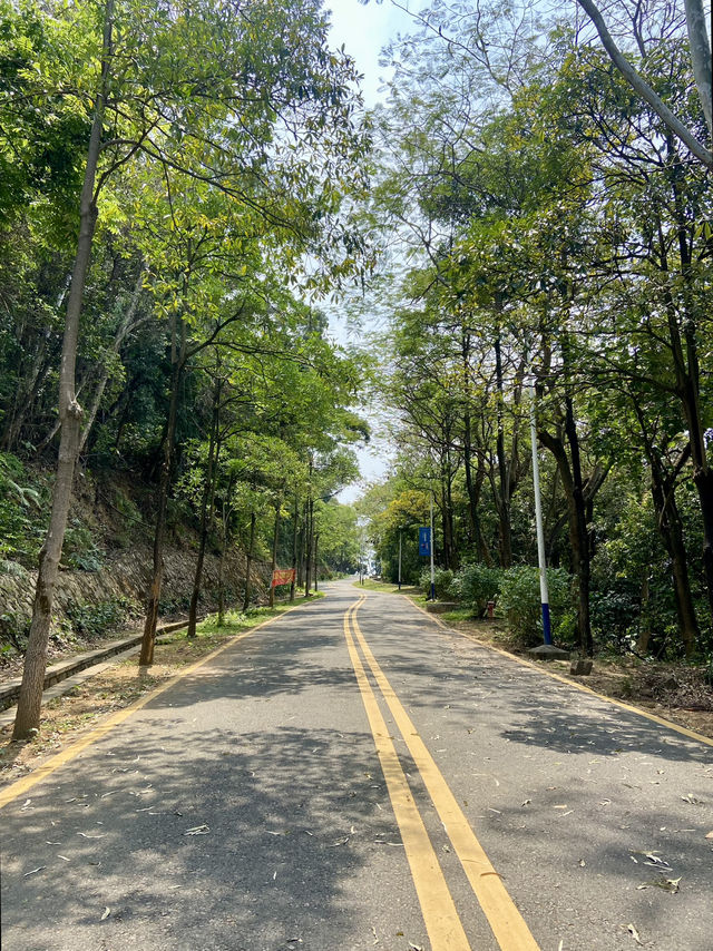 感受大自然的魅力⛰️✨鳳凰山森林公園🧗 