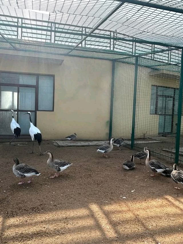 Yellow River Estuary Ecotourism Area – Gateway to China’s Mother River