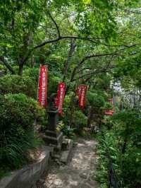 街の高台にたたずむ、大船観音寺の白い観音様🙏