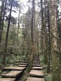 宜蘭秘境一日遊：明池森林遊樂區放空小旅行