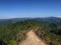 Lion Rock Viewing Point