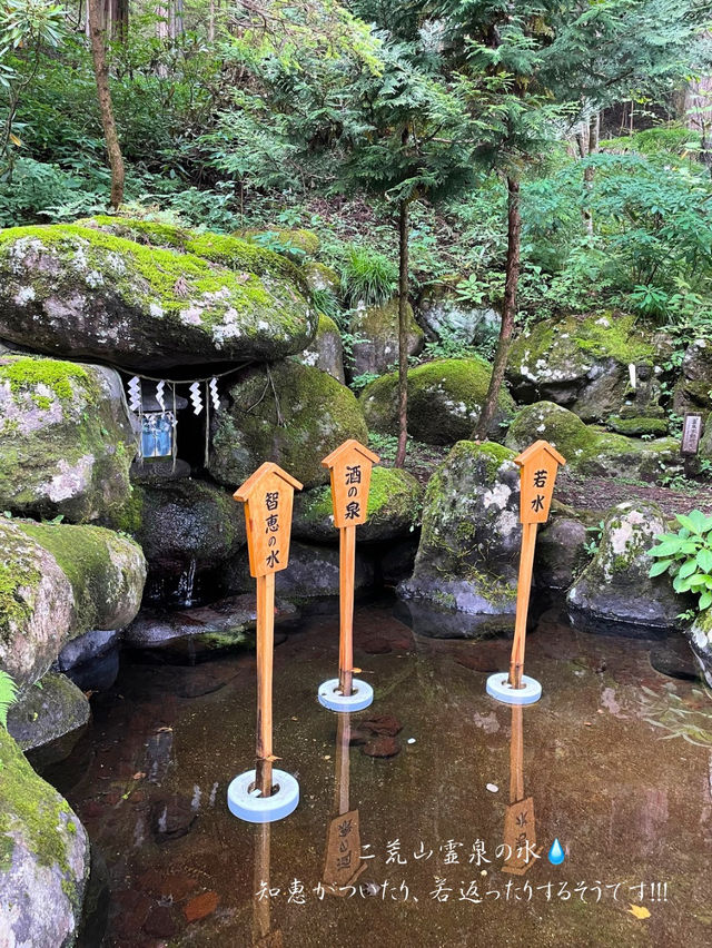 うさぎやハートのモチーフがかわいい🧡縁結びで有名な日光二荒山神社⛩️