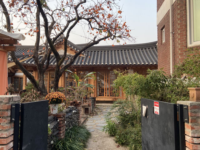🌿 수원에서 만나는 역사와 힙한 피크닉, 하루 만에 다 즐기기