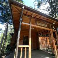 阿里山博物館區 Alishan Museum Area