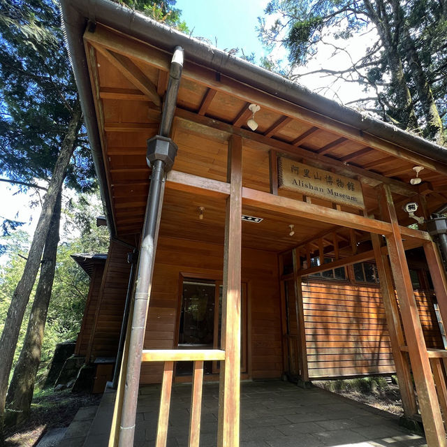 阿里山博物館區 Alishan Museum Area