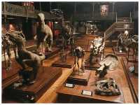 【フランス/リヨン】ミニチュア好き必見スポット＊Musée Miniature et Cinéma＊