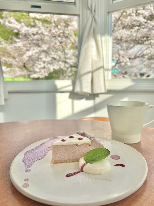 【京都🇯🇵】テラスがあるおすすめカフェ