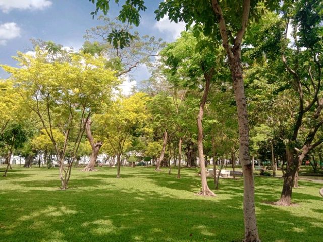 🚶‍♀️เดินชมวัดพระเชตุพน ถึงวัดราชบพิธ