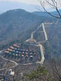 👉👉원주 소금산 출렁다리 케이블카