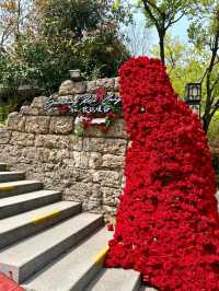 Yancheng Spring and Autumn Paradise: Immersive Fun in a 5A Scenic Spot