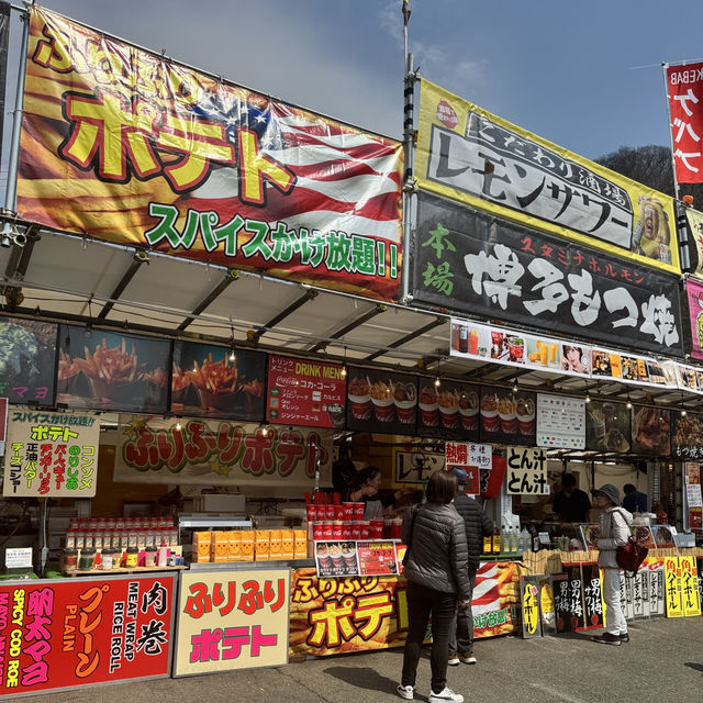 【岩手】この季節に見たい絶景🌸2025