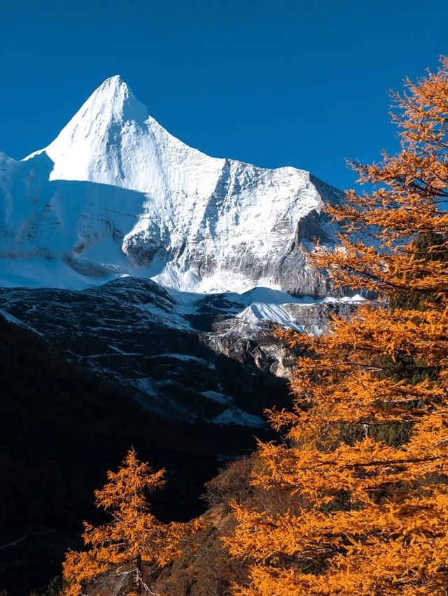 Discover and explore stunning landscapes at Daocheng Yading
