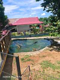Taman Buaya Melaka, Crocodile & Creation Park🐊