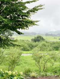 Spring Escape to Tia Tree – Apple Pie in Nature’s Embrace