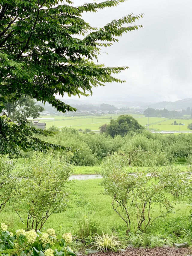Spring Escape to Tia Tree – Apple Pie in Nature’s Embrace