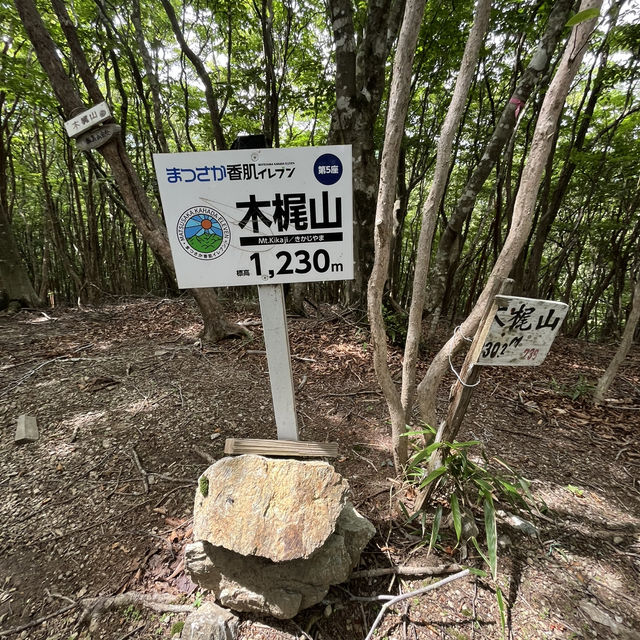 🌲【木梶山】⛰️ まつさかイレブン