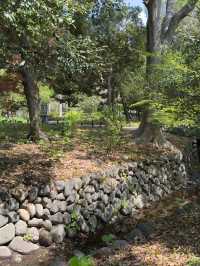 東京｜日比谷和代代木公園一日遊