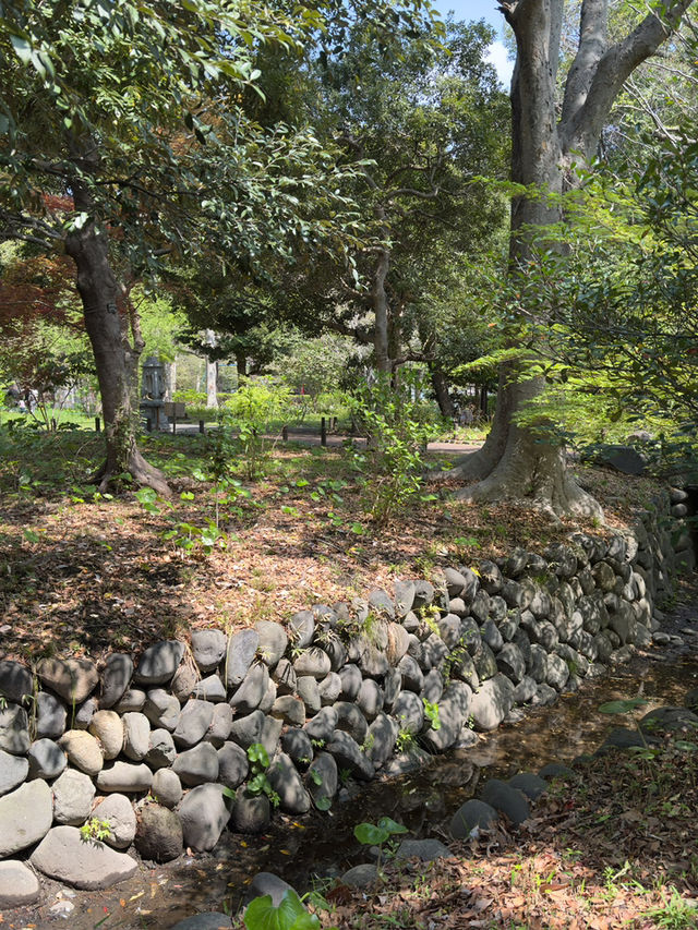東京｜日比谷和代代木公園一日遊