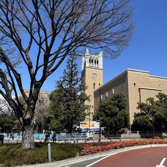 Campus in Bloom – A Serene Spring Walk Through Waseda University