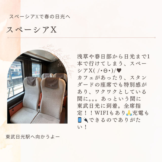 滞在26時間⏰ 全部楽しむ日光1泊2日 観光モデルコース